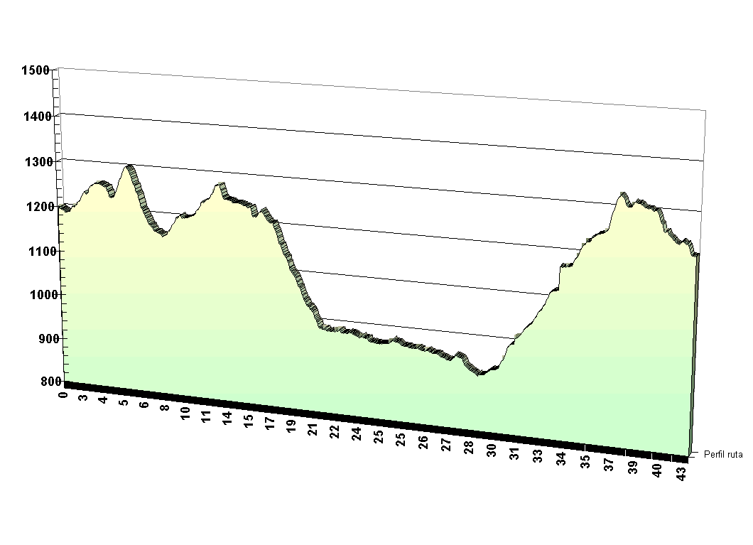 Perfil etapa