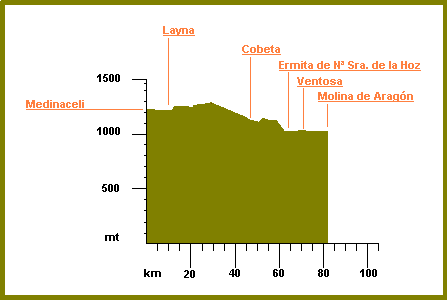 perfil